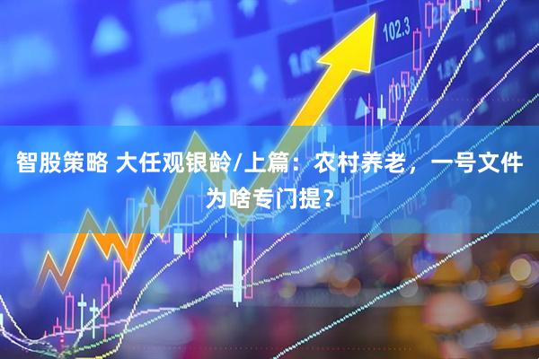 智股策略 大任观银龄/上篇：农村养老，一号文件为啥专门提？