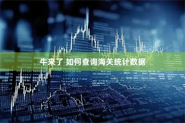 牛来了 如何查询海关统计数据