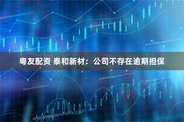 粤友配资 泰和新材：公司不存在逾期担保