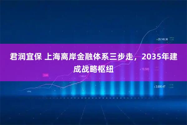 君润宜保 上海离岸金融体系三步走，2035年建成战略枢纽