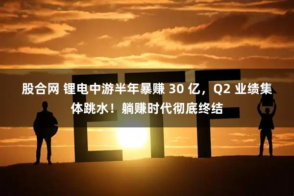 股合网 锂电中游半年暴赚 30 亿,Q2 业绩集体跳水!躺赚时代彻底终结