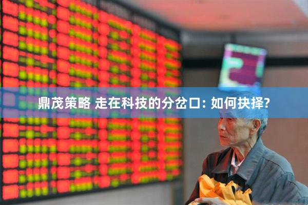 鼎茂策略 走在科技的分岔口: 如何抉择?