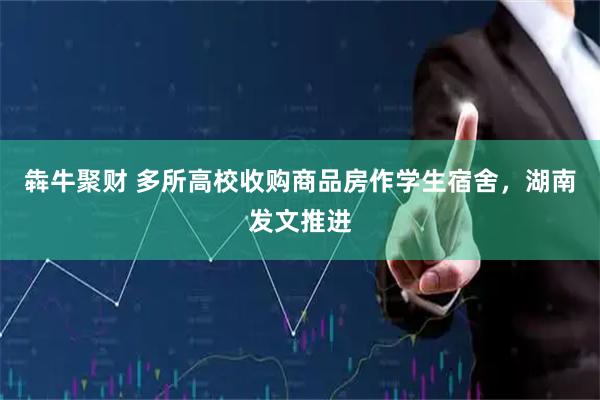 犇牛聚财 多所高校收购商品房作学生宿舍，湖南发文推进