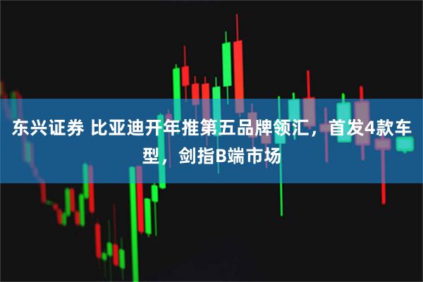 东兴证券 比亚迪开年推第五品牌领汇，首发4款车型，剑指B端市场