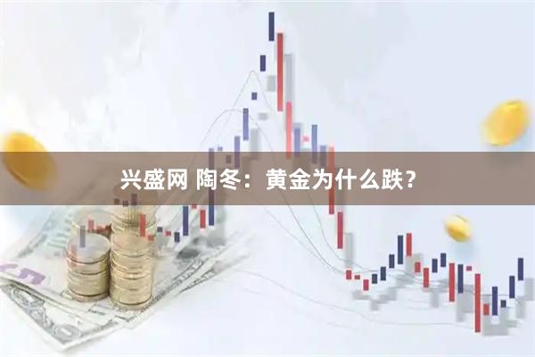 兴盛网 陶冬：黄金为什么跌？