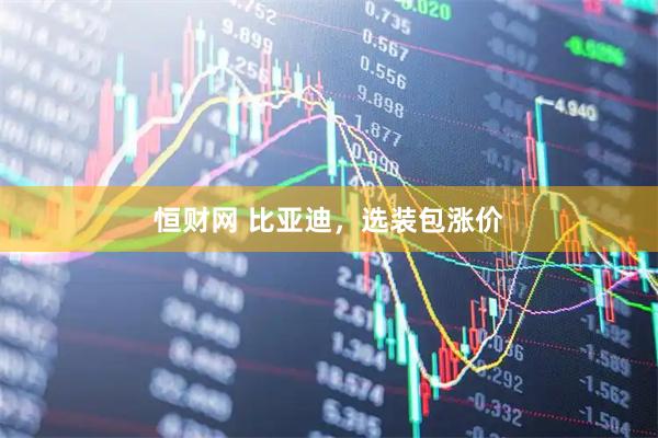 恒财网 比亚迪，选装包涨价