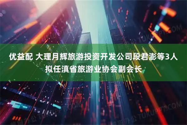 优益配 大理月辉旅游投资开发公司段君澎等3人拟任滇省旅游业协会副会长